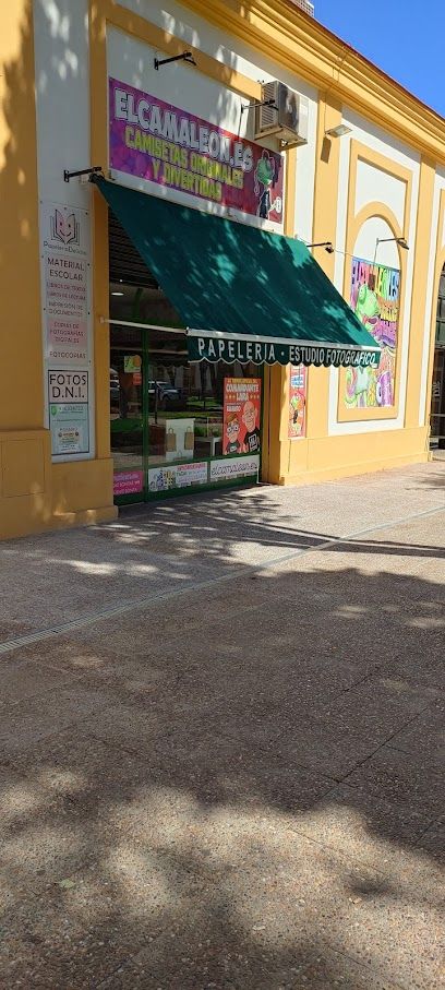 Libreria Papeleria Delicias