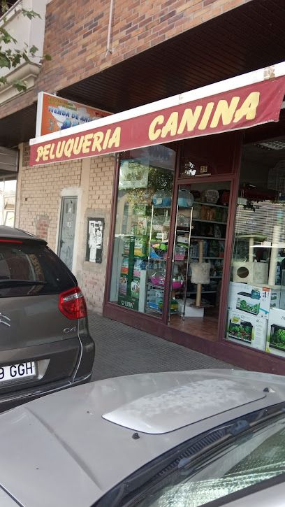 Librería-Papelería Universal